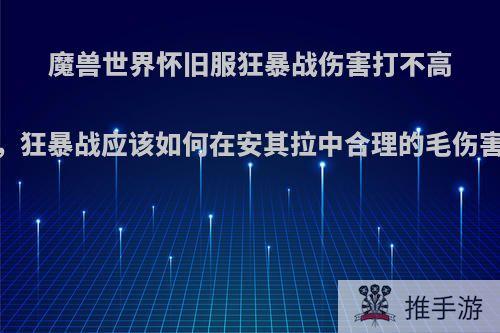 魔兽世界怀旧服狂暴战伤害打不高，狂暴战应该如何在安其拉中合理的毛伤害?