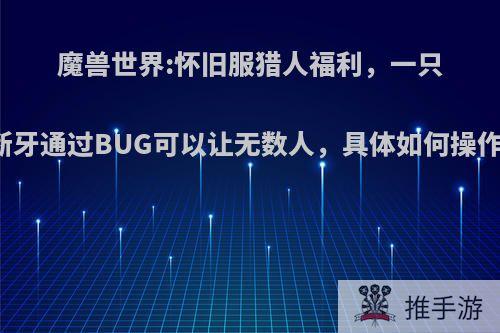 魔兽世界:怀旧服猎人福利，一只断牙通过BUG可以让无数人，具体如何操作?