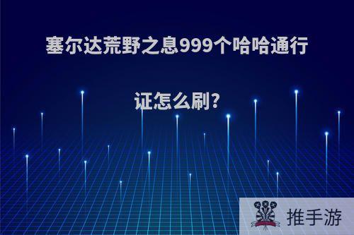 塞尔达荒野之息999个哈哈通行证怎么刷?