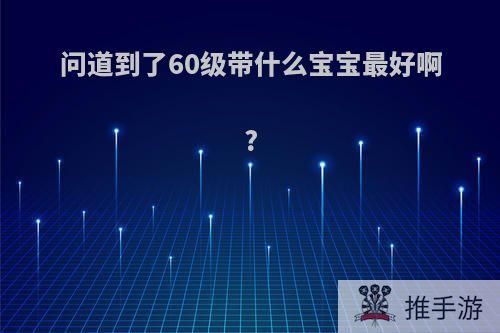 问道到了60级带什么宝宝最好啊?