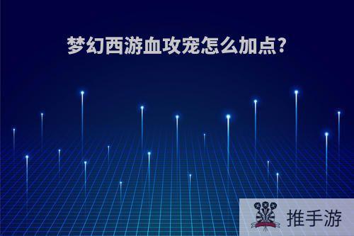 梦幻西游血攻宠怎么加点?