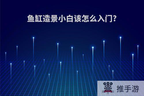 鱼缸造景小白该怎么入门?
