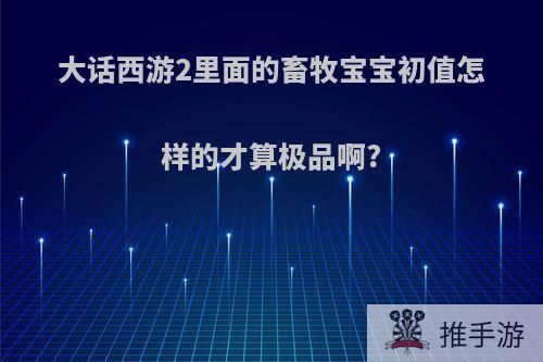 大话西游2里面的畜牧宝宝初值怎样的才算极品啊?