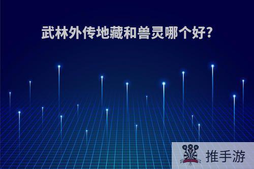 武林外传地藏和兽灵哪个好?