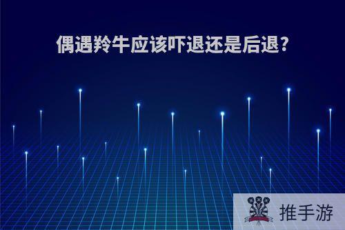 偶遇羚牛应该吓退还是后退?