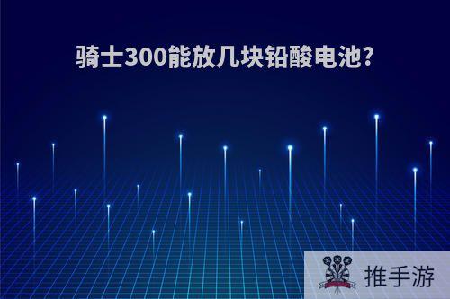 骑士300能放几块铅酸电池?