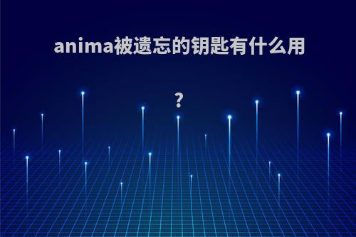 anima被遗忘的钥匙有什么用?