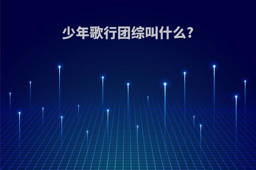 少年歌行团综叫什么?