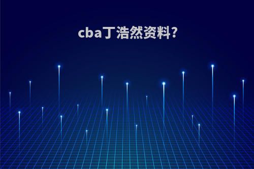 cba丁浩然资料?