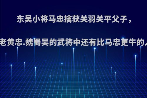 东吴小将马忠擒获关羽关平父子，射死老黄忠.魏蜀吴的武将中还有比马忠更牛的人吗?