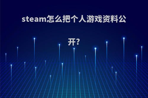 steam怎么把个人游戏资料公开?