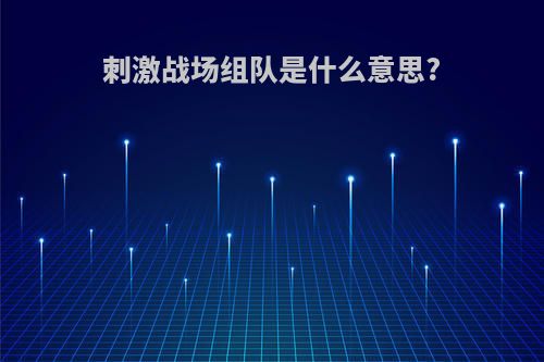 刺激战场组队是什么意思?