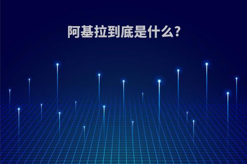 阿基拉到底是什么?