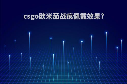 csgo欧米茄战痕佩戴效果?