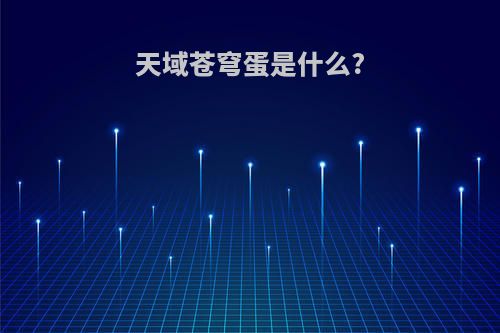 天域苍穹蛋是什么?