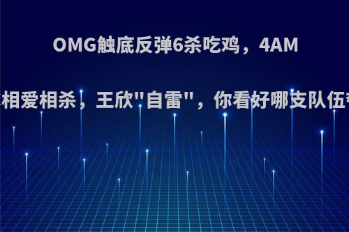 OMG触底反弹6杀吃鸡，4AM与VC相爱相杀，王欣