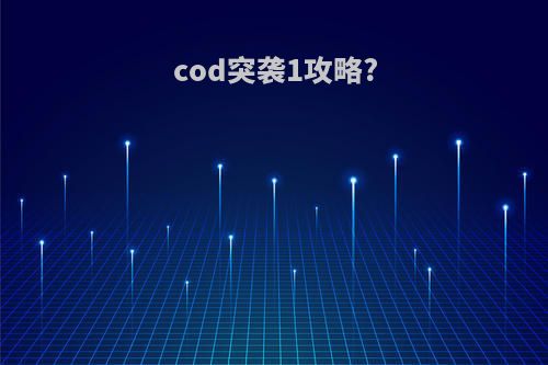 cod突袭1攻略?