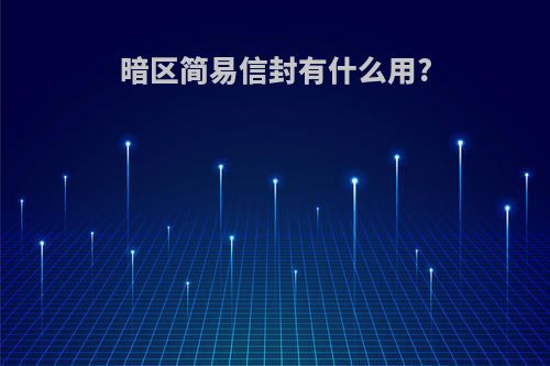 暗区简易信封有什么用?