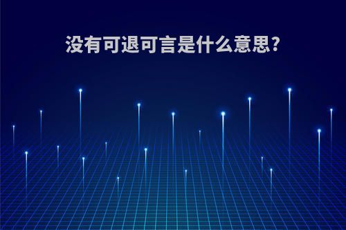 没有可退可言是什么意思?