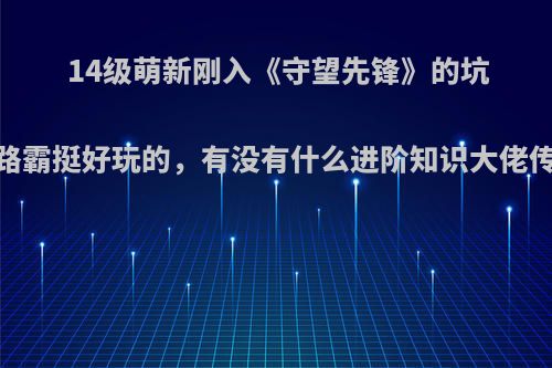 14级萌新刚入《守望先锋》的坑，觉得路霸挺好玩的，有没有什么进阶知识大佬传授一下?