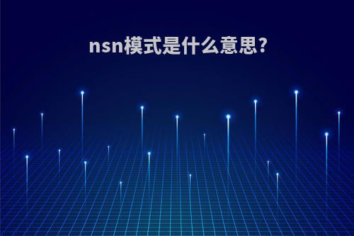 nsn模式是什么意思?