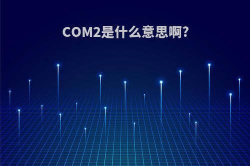 COM2是什么意思啊?