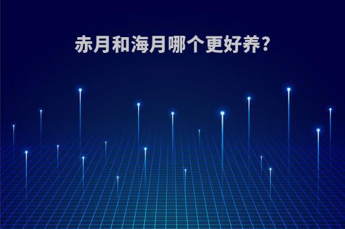 赤月和海月哪个更好养?