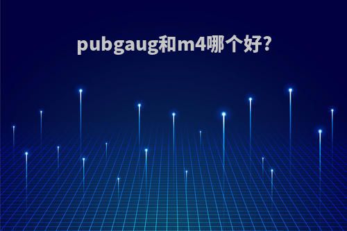 pubgaug和m4哪个好?