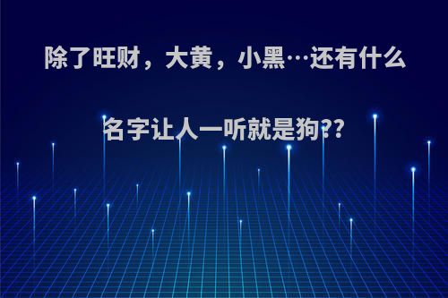 除了旺财，大黄，小黑…还有什么名字让人一听就是狗??