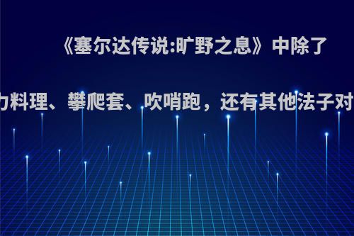 《塞尔达传说:旷野之息》中除了速速料理、精力料理、攀爬套、吹哨跑，还有其他法子对爬山有帮助吗?