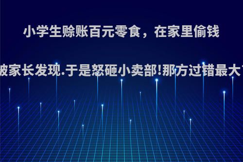 小学生赊账百元零食，在家里偷钱被家长发现.于是怒砸小卖部!那方过错最大?