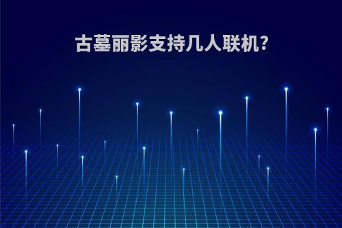 古墓丽影支持几人联机?