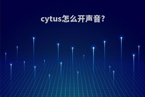 cytus怎么开声音?