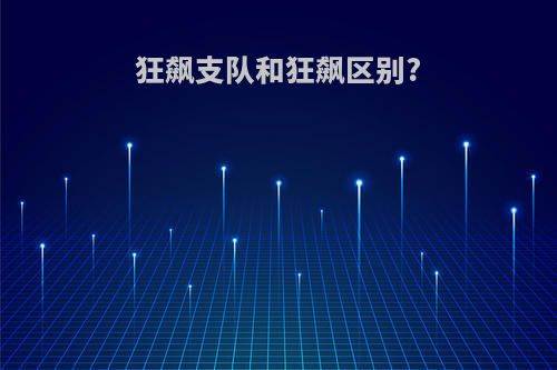 狂飙支队和狂飙区别?