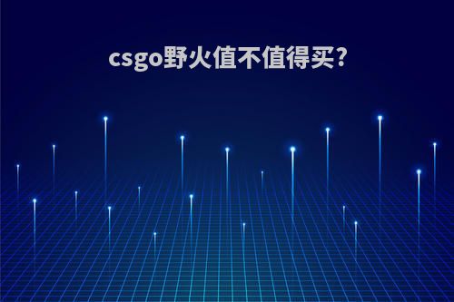 csgo野火值不值得买?