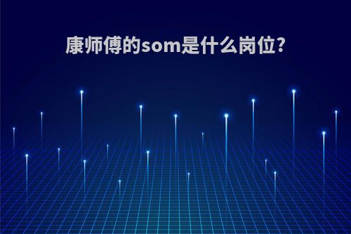 康师傅的som是什么岗位?