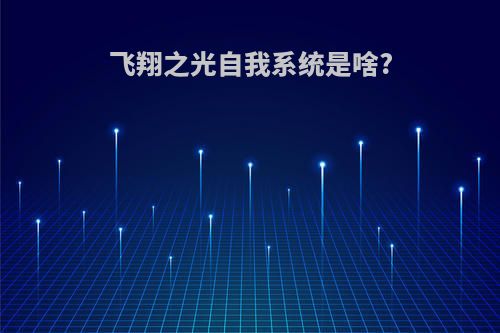 飞翔之光自我系统是啥?