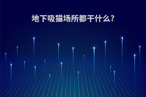 地下吸猫场所都干什么?