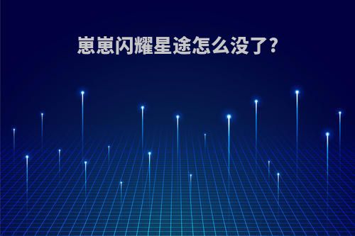 崽崽闪耀星途怎么没了?