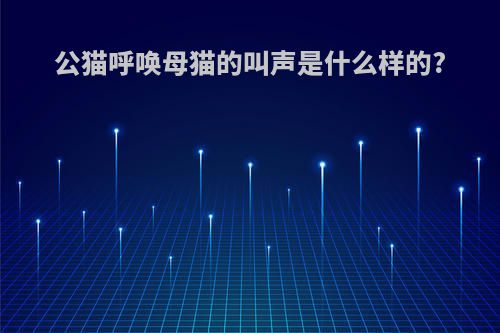 公猫呼唤母猫的叫声是什么样的?